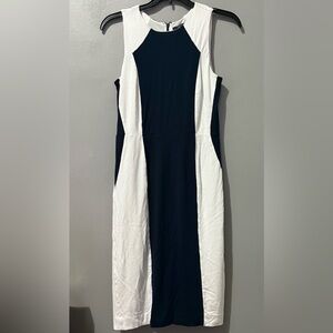 Colorblock Sheath Dress